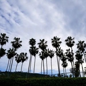 Meet your Posher, Ariel